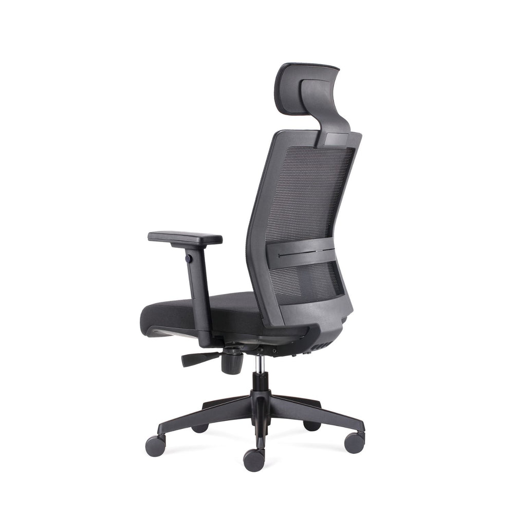 AXIS EJECUTIVA - Black frame
