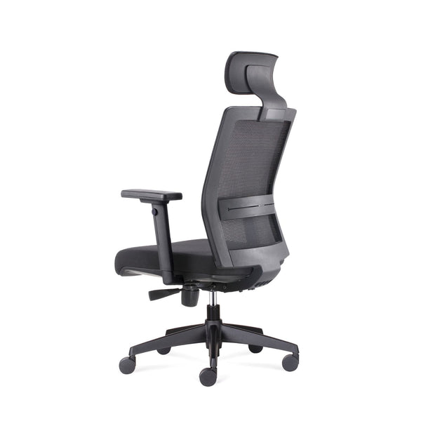AXIS EJECUTIVA - Black frame